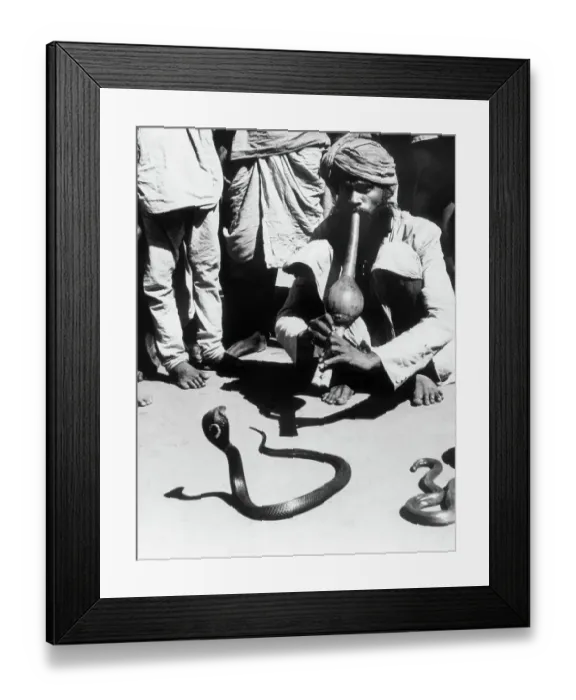 Framed Print : Snake Charmer Hypnotizing Snake Framed Print : Snake Charmer Hypnotizing Snake