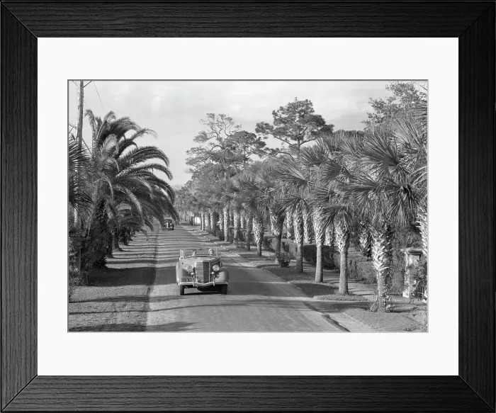 Framed Print : Couple Ride In Car / Tree-Lined Street Framed Print : Couple Ride In Car / Tree-Lined Street