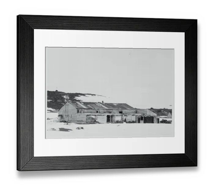 Framed Print : Hut in Antarctica Where British Arctic Expedition Spent the Winter Framed Print : Hut in Antarctica Where British Arctic Expedition Spent the Winter