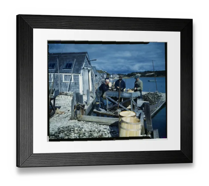Framed Print : Men Shucking Oysters on Dock Framed Print : Men Shucking Oysters on Dock