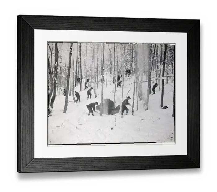 Framed Print : Men Working in Wooded Area Framed Print : Men Working in Wooded Area
