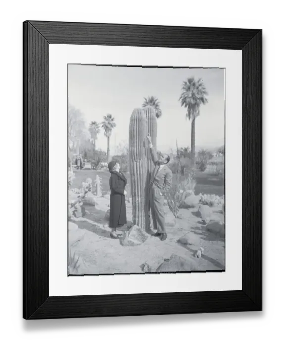 Framed Print : Film Stars with Tall Cactus Framed Print : Film Stars with Tall Cactus