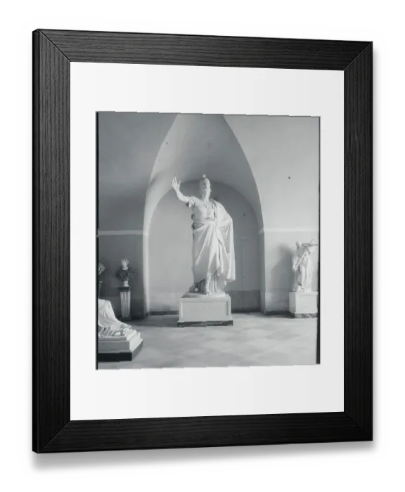 Framed Print : Venus Statues Framed Print : Venus Statues