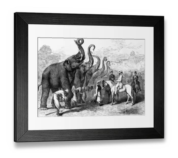 Framed Print : Prince Of Wales with Troops and Elephants Framed Print : Prince Of Wales with Troops and Elephants