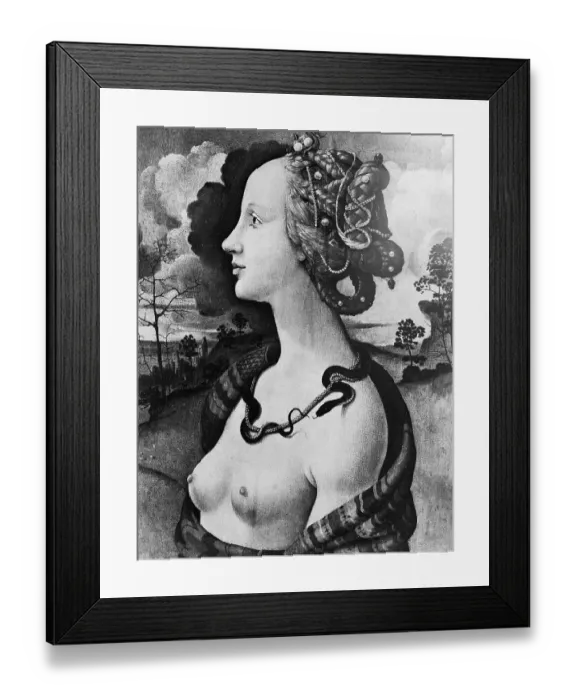 Framed Print : Simoneta Vespucci by Pietro di Cosimo Framed Print : Simoneta Vespucci by Pietro di Cosimo