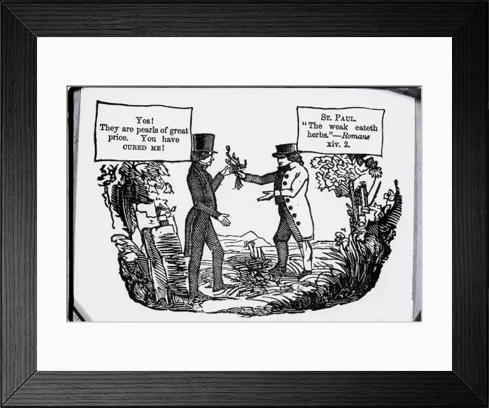 Framed Print : Woodcut Praising Herb Therapy, Dr.Thomson Framed Print : Woodcut Praising Herb Therapy, Dr.Thomson