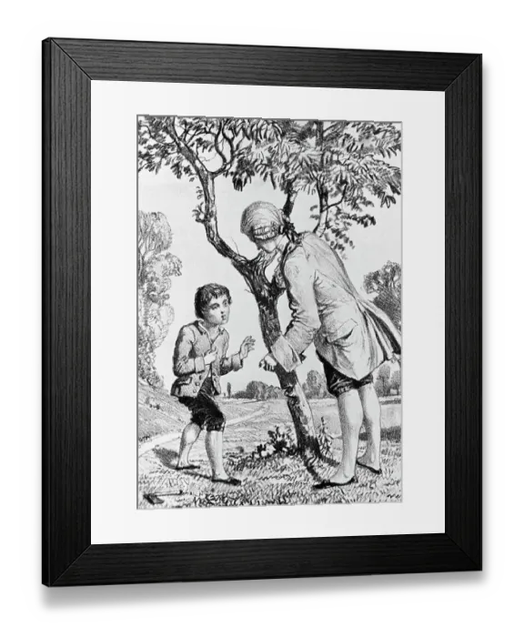 Framed Print : George Washington Chopping Cherry Tree Framed Print : George Washington Chopping Cherry Tree