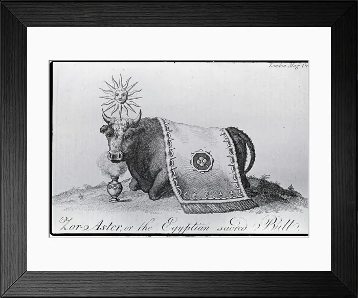 Framed Print : Zo-Aster, The Egyptian Sacred Bull Framed Print : Zo-Aster, The Egyptian Sacred Bull