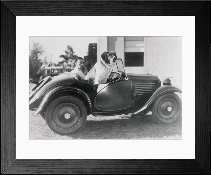 Framed Print : Buster Keaton and Dog in Automobile Framed Print : Buster Keaton and Dog in Automobile