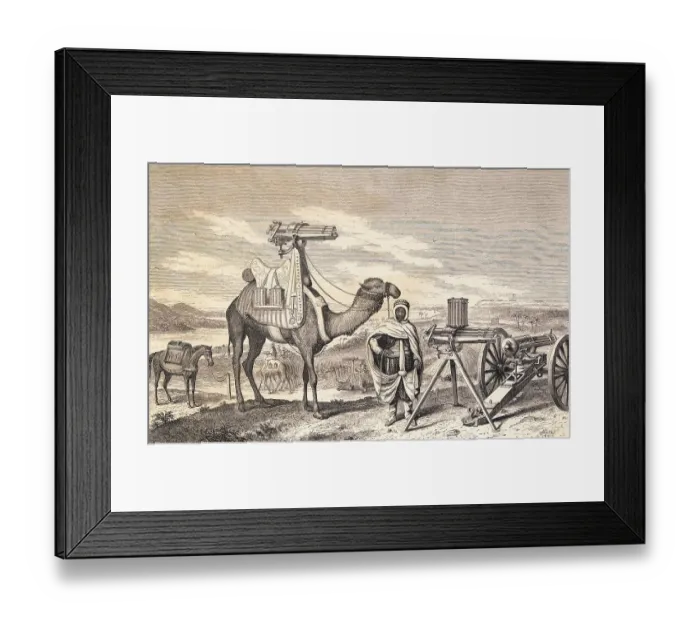 Framed Print : Camel Carrying Machine Gun Framed Print : Camel Carrying Machine Gun