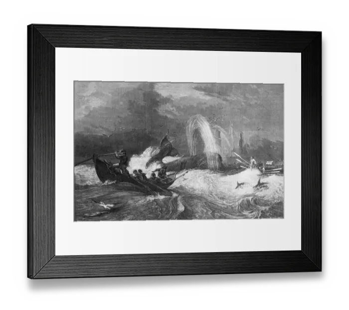 Framed Print : Whalers in the Ocean Framed Print : Whalers in the Ocean