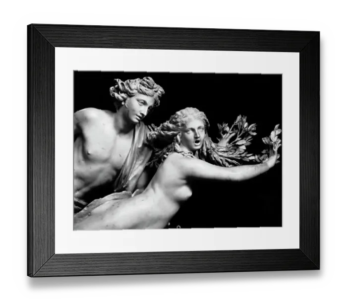Framed Print : Bernini'S Sculpture Of Apollo & Daphne