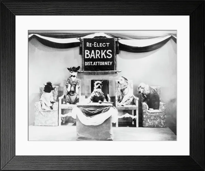 Framed Print : Dogs Wearing Suits Framed Print : Dogs Wearing Suits