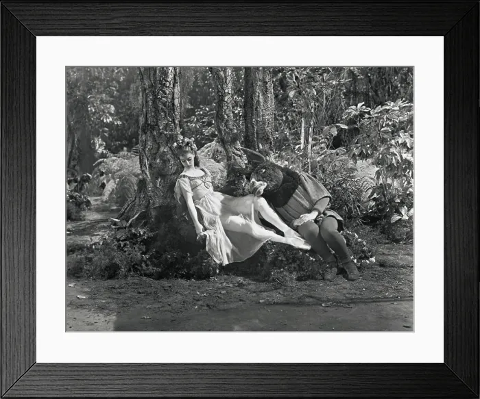 Framed Print : Suzanne Farrell and Richard Rapp in A Midsummer Night's Dream Framed Print : Suzanne Farrell and Richard Rapp in A Midsummer Night's Dream