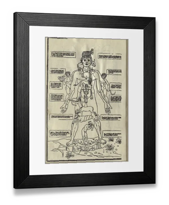 Framed Print : Diagram of Zodiacal Signs on Male Body