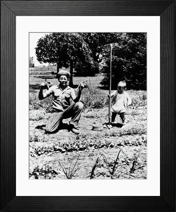 Framed Print : Baby James Dean Playing In The Garden Framed Print : Baby James Dean Playing In The Garden