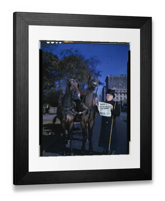 Framed Print : Man Reading Newspaper to Two Horses Framed Print : Man Reading Newspaper to Two Horses