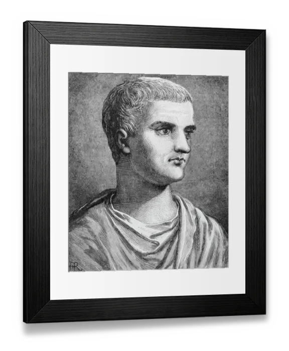 Framed Print : Portrait of Tiberius Framed Print : Portrait of Tiberius
