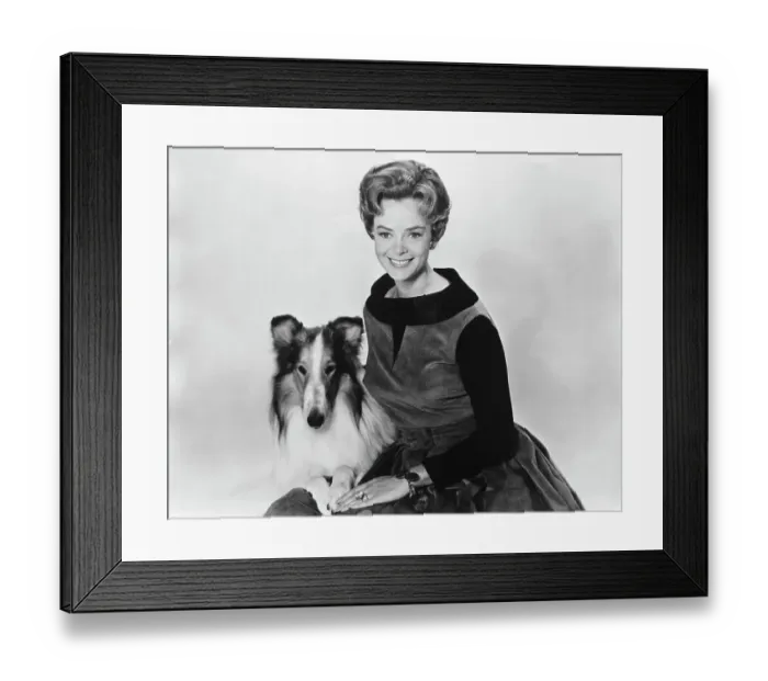 Framed Print : Portrait of June Lockhart and Lassie Framed Print : Portrait of June Lockhart and Lassie