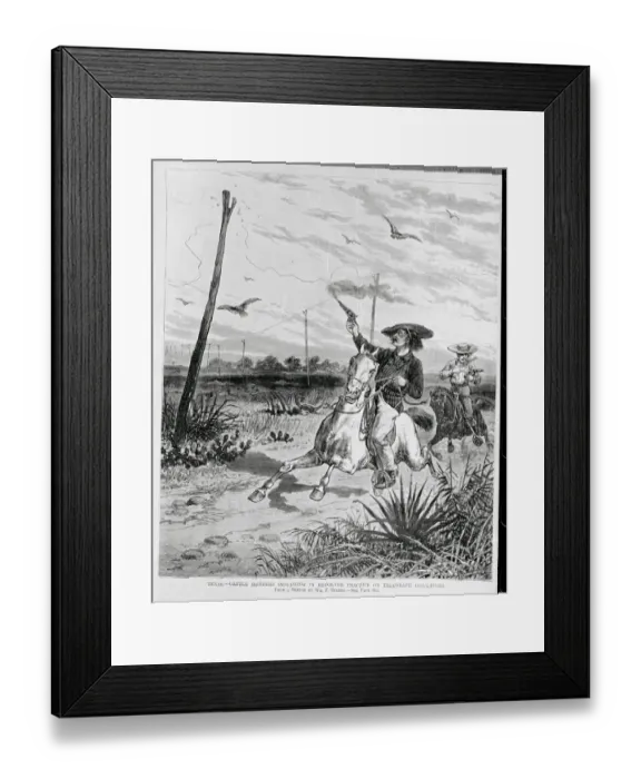 Framed Print : Cattle Herder Shooting Telegraph Insulators Framed Print : Cattle Herder Shooting Telegraph Insulators