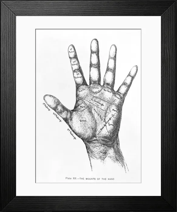 Framed Print : The Mounts Of The Hand / Palmistry / Drawing Framed Print : The Mounts Of The Hand / Palmistry / Drawing
