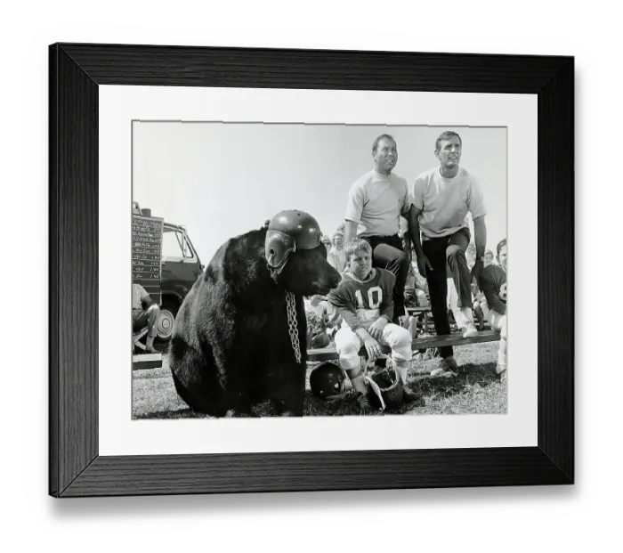 Framed Print : Scene from Gentle Ben