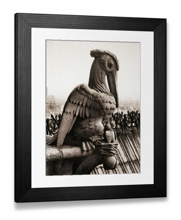 Framed Print : Close-Up Of Notre Dame Gargoyle Framed Print : Close-Up Of Notre Dame Gargoyle