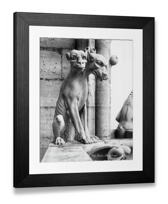 Framed Print : Gargoyle Of Cerebus At Notre Dame