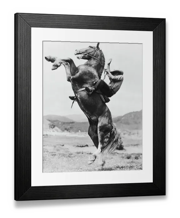 Framed Print : Cowboy on a Rearing Bronco Framed Print : Cowboy on a Rearing Bronco