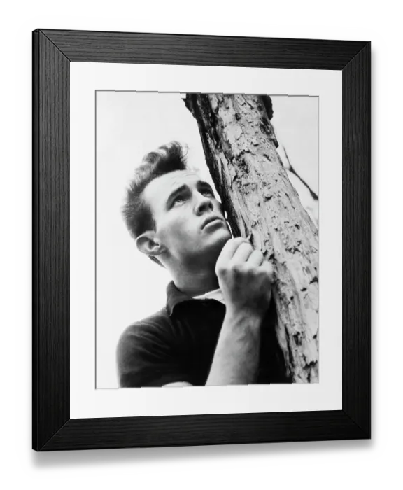 Framed Print : James Dean Lookalike Leaning Against Tree Framed Print : James Dean Lookalike Leaning Against Tree
