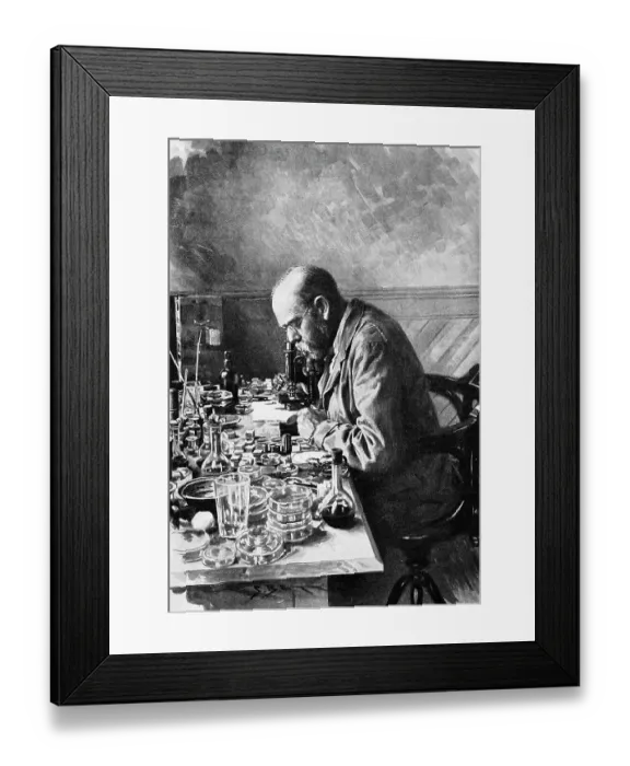 Framed Print : Robert Koch Studies Rinderpest In Lab Framed Print : Robert Koch Studies Rinderpest In Lab