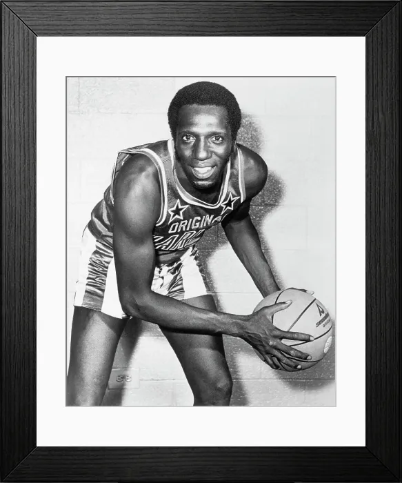 Framed Print : Lemon Meadowlark Framed Print : Lemon Meadowlark