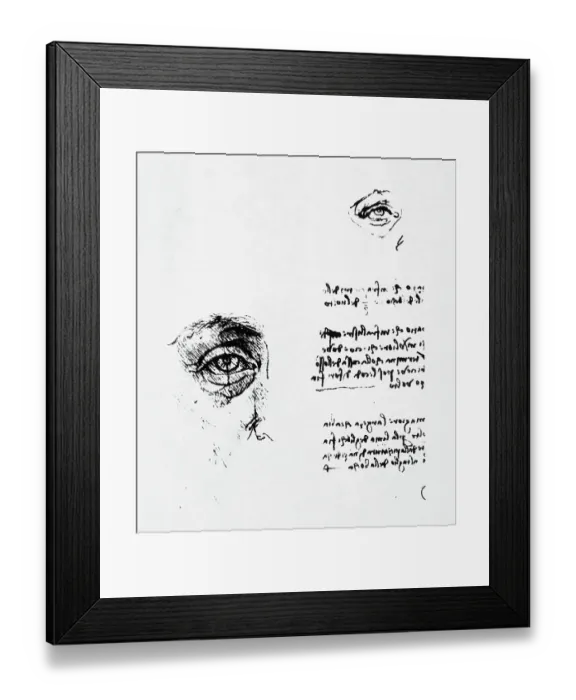 Framed Print : Drawings of the Eye by Leonardo da Vinci Framed Print : Drawings of the Eye by Leonardo da Vinci