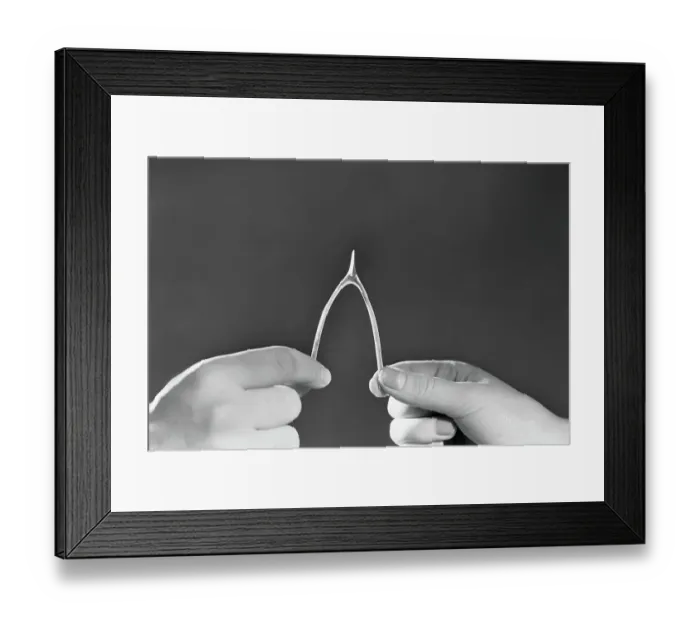 Framed Print : Ready To Break Wish Bone Framed Print : Ready To Break Wish Bone
