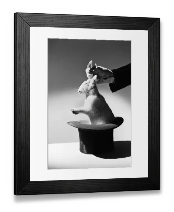 Framed Print : Magician Pulling a Rabbit out of a Hat Framed Print : Magician Pulling a Rabbit out of a Hat