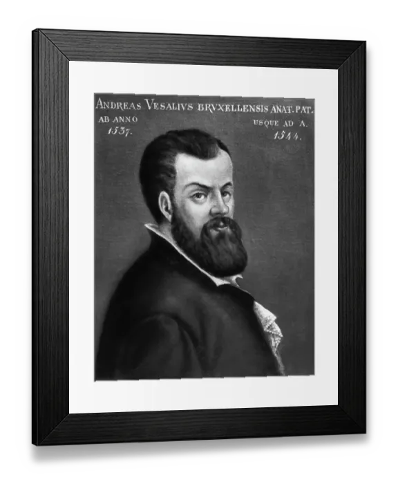 Framed Print : Portrait of Andreas Vesalius Framed Print : Portrait of Andreas Vesalius