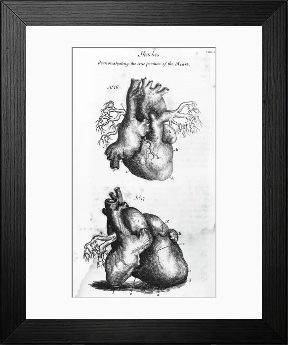 Framed Print : Engraving of Human Heart Framed Print : Engraving of Human Heart