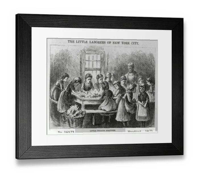 Framed Print : Children Working as Tobacco Strippers in Factory Framed Print : Children Working as Tobacco Strippers in Factory