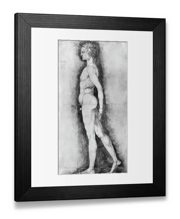 Framed Print : Albrecht Durer Study of Male Anatomy Framed Print : Albrecht Durer Study of Male Anatomy