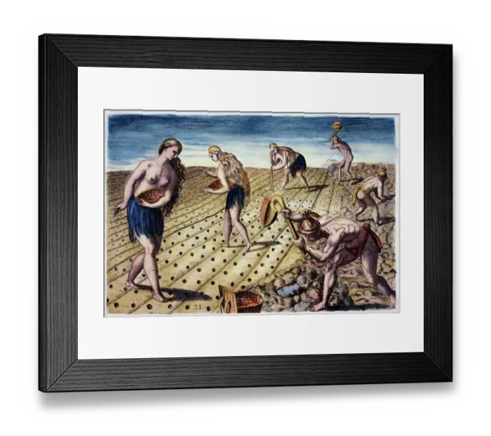 Framed Print : How They Till the Soil and Plant by Theodore de Bry after Jacques Le Moyne