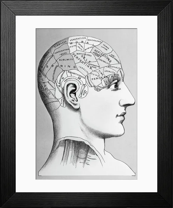 Framed Print : Phrenological Diagram of Human Skull Framed Print : Phrenological Diagram of Human Skull