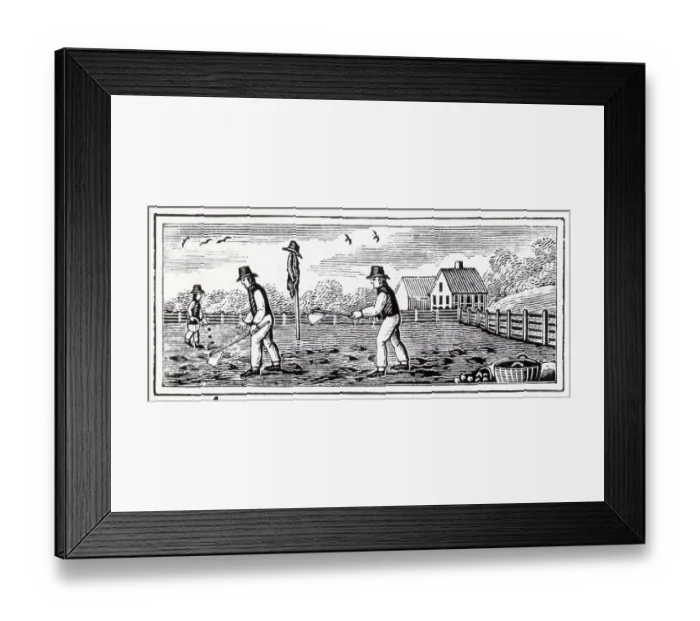 Framed Print : Woodcut Of Farmer Planting And Hoeing Framed Print : Woodcut Of Farmer Planting And Hoeing