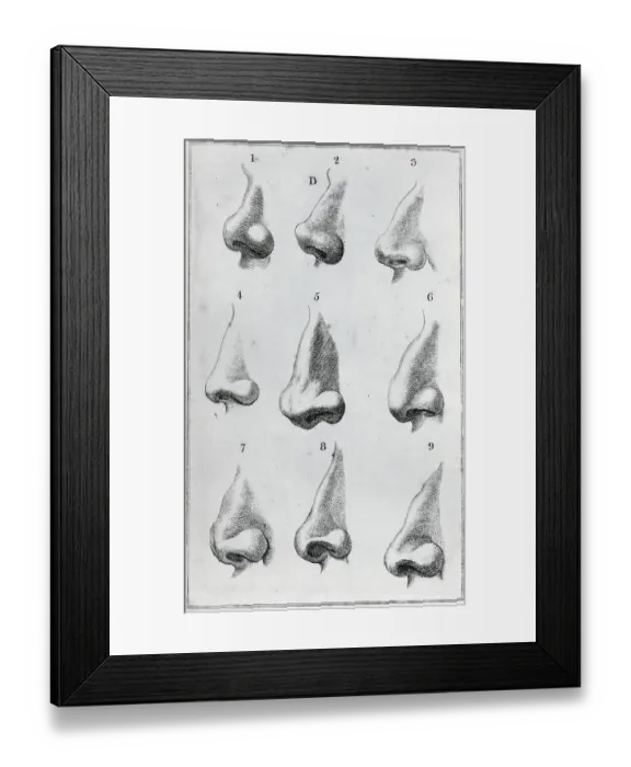 Framed Print : Engravings Depicting Various Noses Framed Print : Engravings Depicting Various Noses