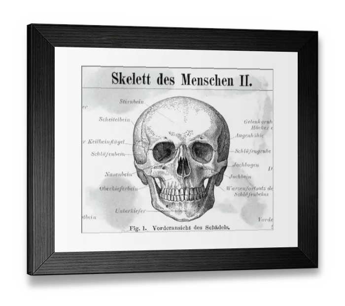 Framed Print : Front View Of Human Skull Framed Print : Front View Of Human Skull