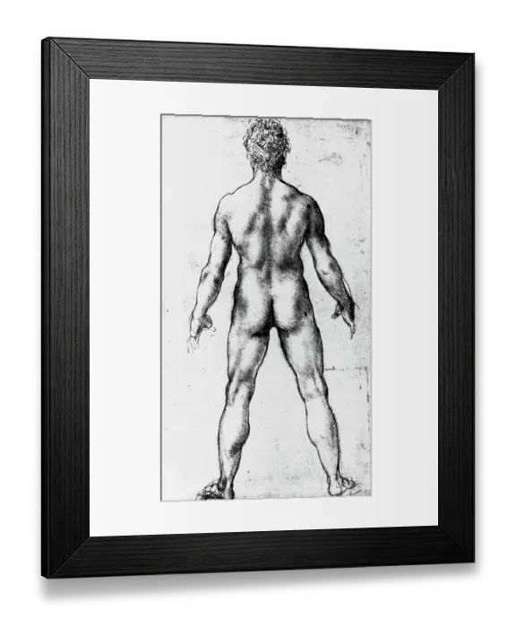 Framed Print : Drawing of a Nude Seen from Behind by Leonardo da Vinci Framed Print : Drawing of a Nude Seen from Behind by Leonardo da Vinci