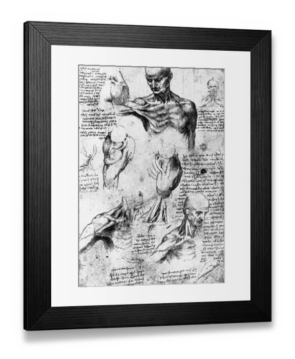 Framed Print : Drawing of anatomical studies by Leonardo da Vinci Framed Print : Drawing of anatomical studies by Leonardo da Vinci