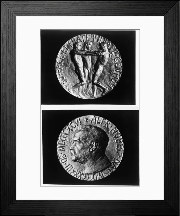 Framed Print : Nobel Peace Prize Medal