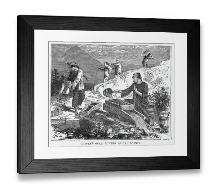 Framed Print : Chinese Gold Mining in California Engraving Framed Print : Chinese Gold Mining in California Engraving
