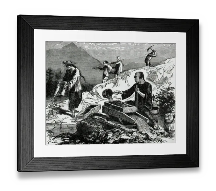 Framed Print : Chinese Gold Mining in California Engraving Framed Print : Chinese Gold Mining in California Engraving
