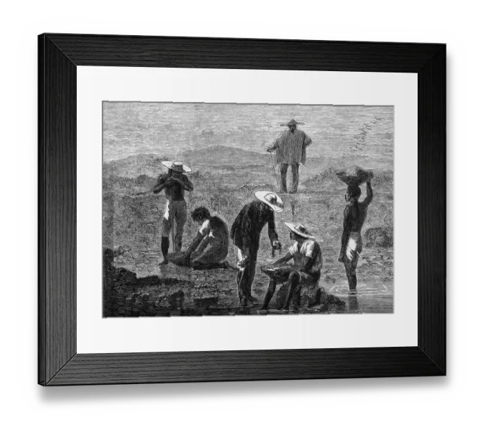 Framed Print : Miners Panning In River Framed Print : Miners Panning In River